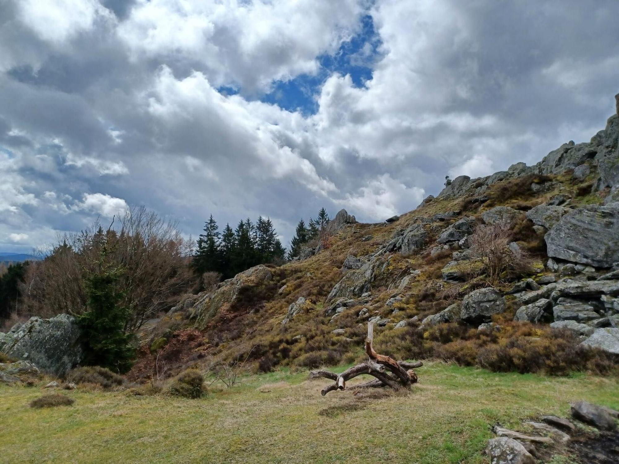 Holiday Home Near The Ski Slope Stadlern Εξωτερικό φωτογραφία